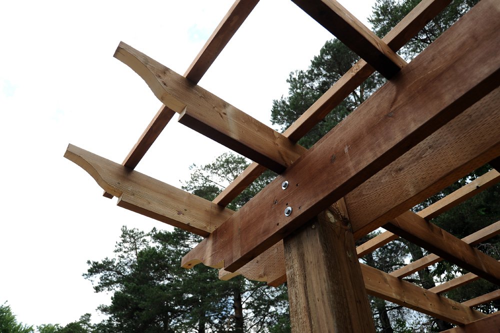 Literator’s backyard