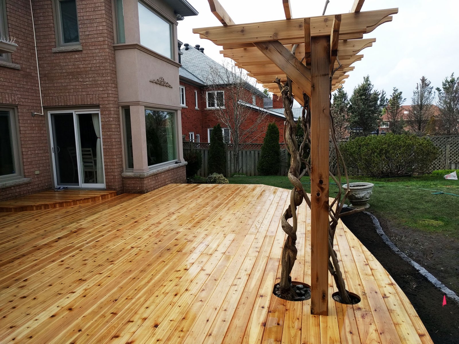 Everything for the wistaria and apple tree