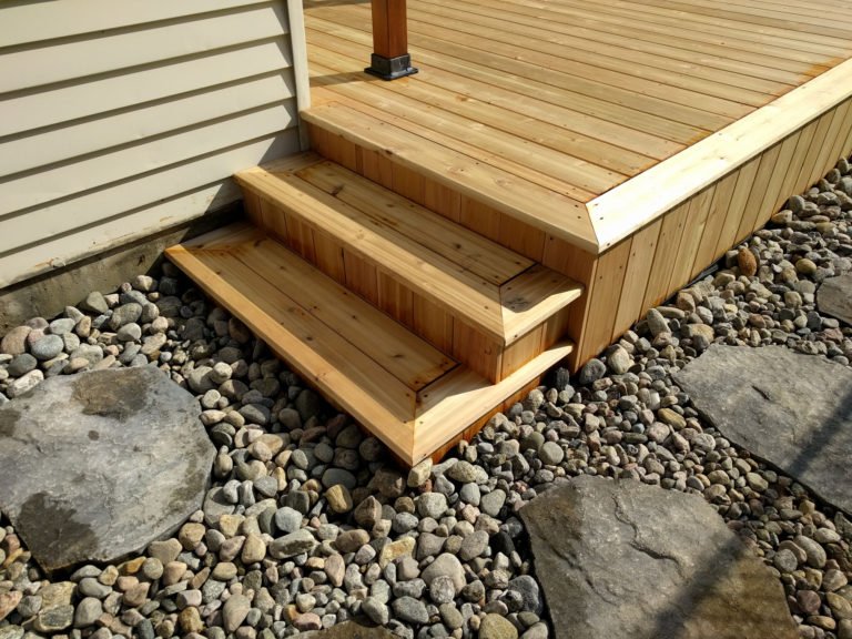 Painting Lady’s Backyard