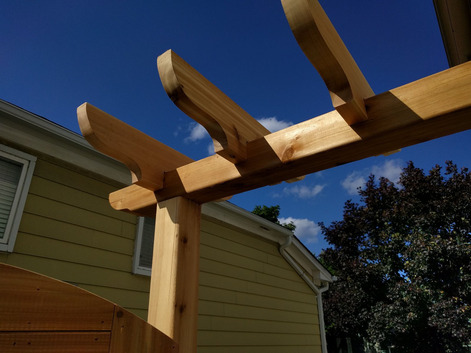 Painting Lady’s Backyard