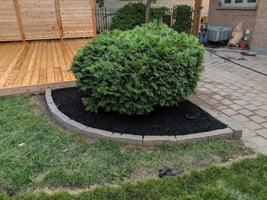 Ground Level deck with Privacy Screen